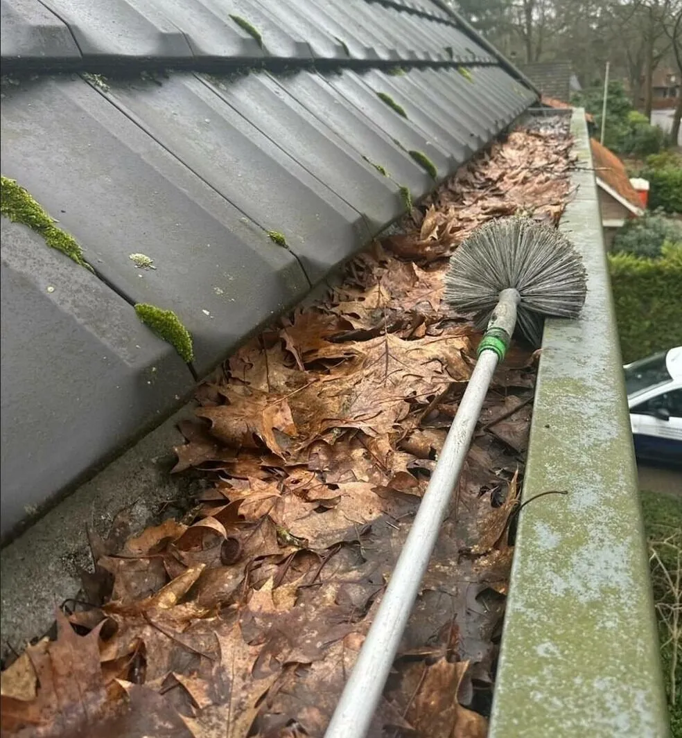 Reiniging van een dakgoot bij een woning met ladder.